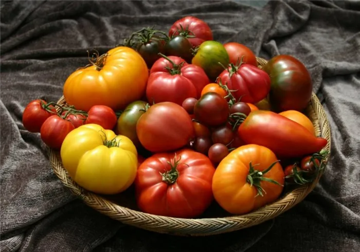 Изобилие сортов штамбовых томатов поражает воображение