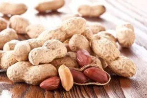 Описание 8 лучших видов и сортов арахиса, тонкости выращивания