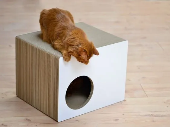 дом для кошки из коробки пошагово