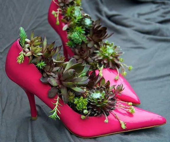 цветы в туфельках