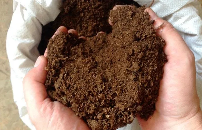сердце почвы 