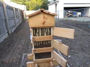 Чертежи и размеры ульев Варрэ, правила содержания и плюсы для пчеловодства