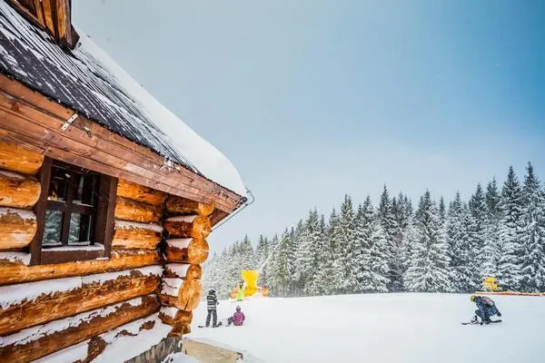 На фото – деревянный дом зимой