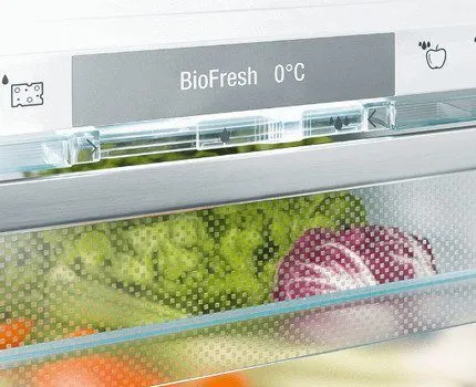 Функция BioFresh в холодильнике Либхер