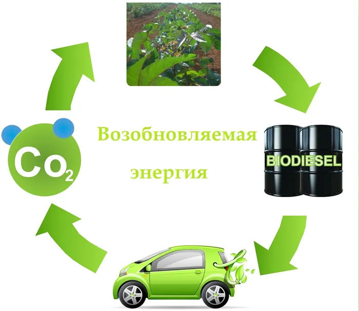 Экологичность биодизельного топлива