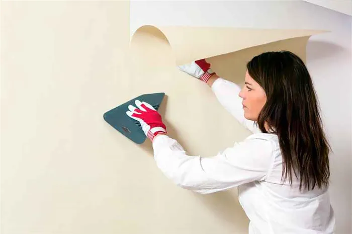 Куда наносить обойный клей: на стену или на полотно обоев