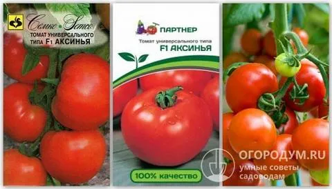 Упаковки семян томатов гибрида «Аксинья F1» разных производителей и фотография помидоров этого сорта
