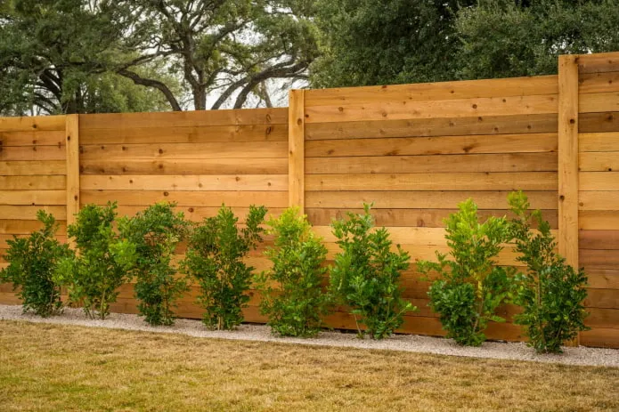 деревянный сплошной забор