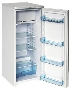 Холодильник для дачи Бирюса R110CA